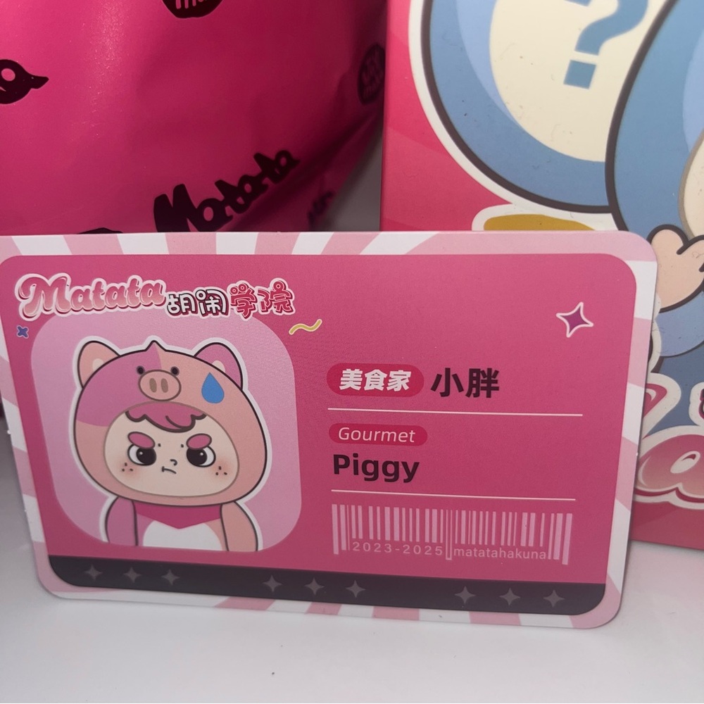 Matata Chaos Campus Confirmed Gourmet Piggy plush doll 7” x 5” Box